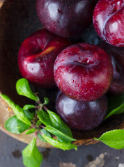 Ripe juicy purple plums with drops in wooden bowl with leaves, dark brown concrete background. Close up.