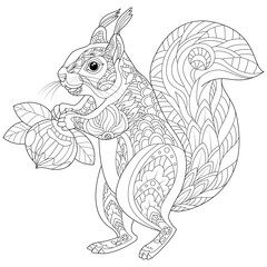 Hand drawn squirrel. Sketch for adult anti-stress coloring in the style of zen-ball. Vector illustration for coloring page or print on t-shirt.