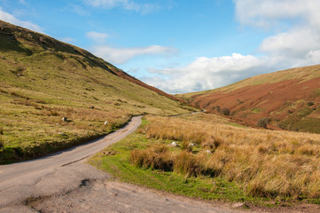 Autumn road in the Black mountains of the United Kingdom.