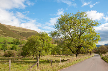Fototapeta na wymiar Autumn road in the Black mountains of the United Kingdom.