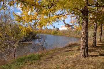 autumn landscape with trees and lake