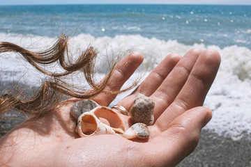 seashells on the beach