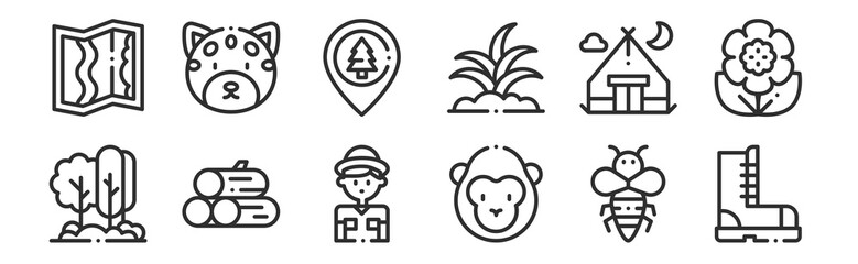 set of 12 thin outline icons such as boot, gorilla, wood, camping tent, jungle, jaguar for web, mobile
