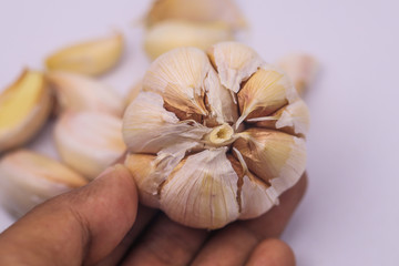 garlic on the table