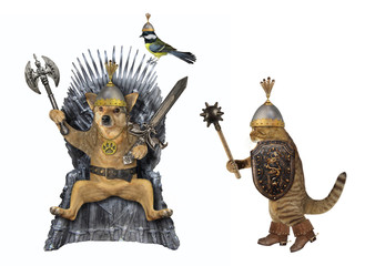 The beige dog king in a steel belt and a helmet with an inlaid sword and an axe is sitting on an...