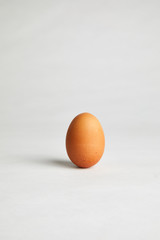 A single brown egg stands upright and solitary in studio quarantine  © Donte