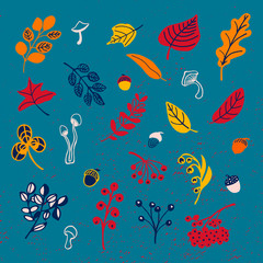 Autumn set of leaves, mushrooms, acorns in doodle style. Vector illustration on isolated blue background. For use in the composition for printing, fabric, packaging and decoration of clothes.