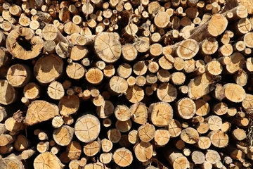 Möbelaufkleber stack of firewood © Pedro