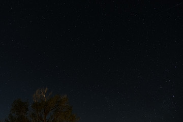 Fototapeta na wymiar Night starry sky with blinking stars,universe field background