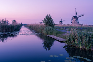 Discover the splendid windmills of Kinderdijk to see how the Dutch have been controlling the waters for over 1000 years. It’s a unique spectacle!