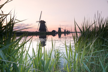 Discover the splendid windmills of Kinderdijk to see how the Dutch have been controlling the waters for over 1000 years. It’s a unique spectacle!