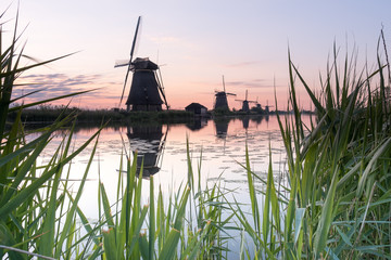 Discover the splendid windmills of Kinderdijk to see how the Dutch have been controlling the waters for over 1000 years. It’s a unique spectacle!