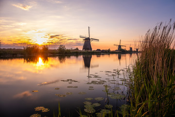 Discover the splendid windmills of Kinderdijk to see how the Dutch have been controlling the waters for over 1000 years. It’s a unique spectacle!