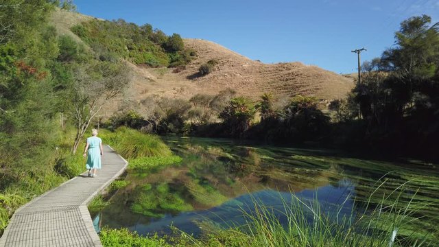 4k locked off motion of woman walking along boardwalk looking at the stream of Blue Spring which is a nature fresh water spring and hiking trail of the Te Waihou walkway ,north Island,New Zealand 