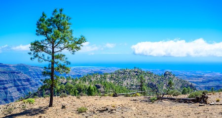 Fototapeta na wymiar Hiking in Mountain Scenery of Gran Canaria Island - beautiful landscape scenery at mountain village Soria - travel destination, Spain