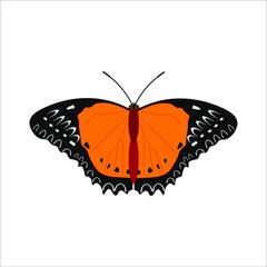 butterfly cethosia biblis. illustration for web and mobile design.