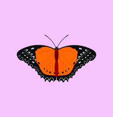 butterfly cethosia biblis. illustration for web and mobile design.