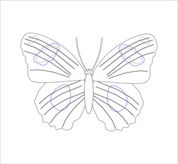 hypolimnas butterfly. illustration for web and mobile design.