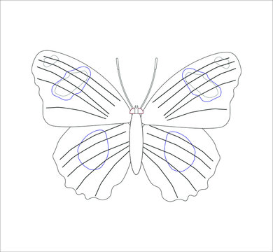 hypolimnas butterfly. illustration for web and mobile design.