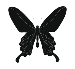 pachliopta kotzebuea butterfly. illustration for web and mobile design.