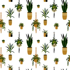 Papier Peint photo Lavable Plantes en pots Modèle sans couture de plantes à la maison. Illustration vectorielle. Modèle sans couture tropical
