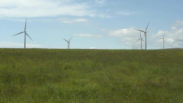 風力発電の風車と草原