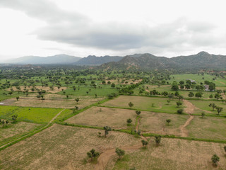 Aerial view of green agricultural fields. Taken by a drone