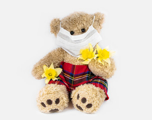 brown teddy bear with medical mask and yellow daffodil
