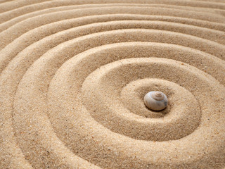 Fototapeta na wymiar Shell in circles on the sand. Zen concept. Spiral in the sand