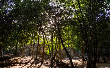 Mayan ruins under the bright sunlight that's passing through the tropical trees of Coba.