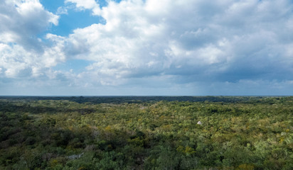 View of a big tropical forest from the top of a pyramid in Coba, Quintana Roo, Mexico.