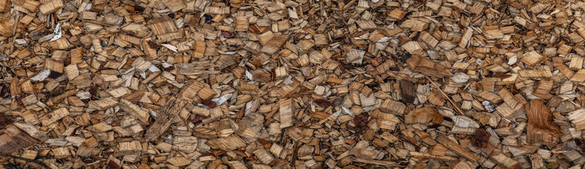 Panorama of abstract wood shavings in the flowerbed, texture of sawdust and carpentry waste.