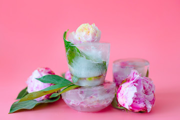 peonies flowers frozen in ice on a pink background, creative summer concept