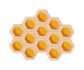 Honeycomb piece flat vector illustration