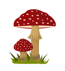 Fly agaric flat vector illustration