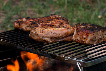 Portable wood-fried grill with grilling meat. Camping grill, smoke, bonfire, picnic