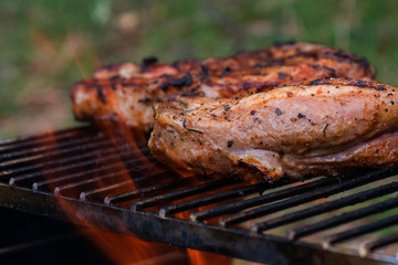 Portable wood-fried grill with grilling meat. Camping grill, smoke, bonfire, picnic