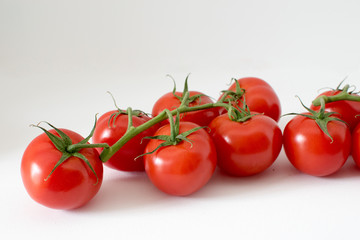 twig of tomato on a white background