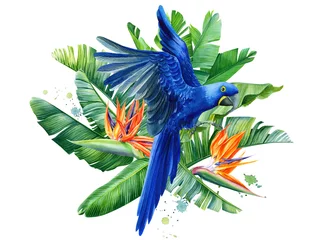 Fotobehang Strelitzia Samenstelling met tropische vogels, hyacint papegaaien, palmbladeren, strelitzia bloemen op een transparante achtergrond, aquarel illustratie