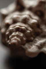 Texturas