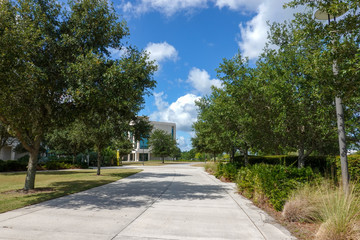 A tree lined street leading into a university campus.