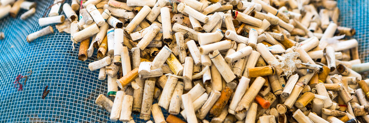 Beach Cleaning. in panoramic view. Cleaning dirty beaches by the action of man. Sustainability of the planet and preservation of nature. Banner web.