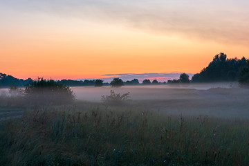 sunrise on the foggy field