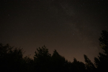 Night Starry Sky In Forest In Summer.