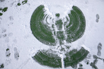 Snow angels on a grass lawn