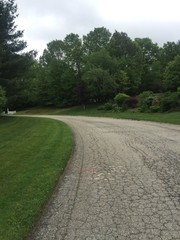 Cracks in road to no where.  Cracked Asphalt.  Trees in the background.  Green grass on the side.