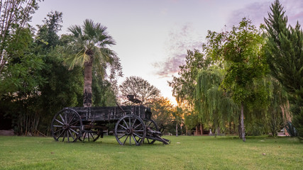 horse carriage in the park