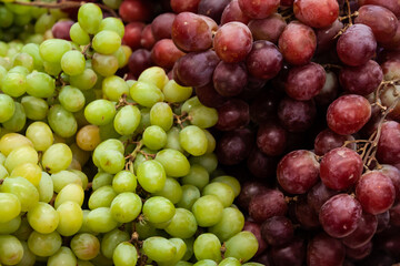 Uvas