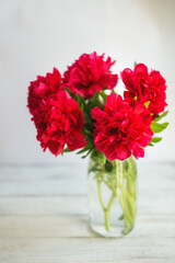 A bouquet of red peonies in a glass vase in the sunlight. Beautiful lush peonies on a white wooden table.