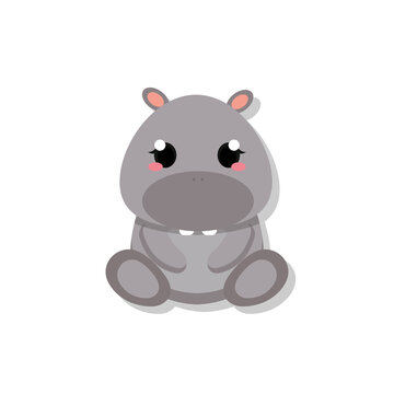 Isolated cute baby hippopotamus